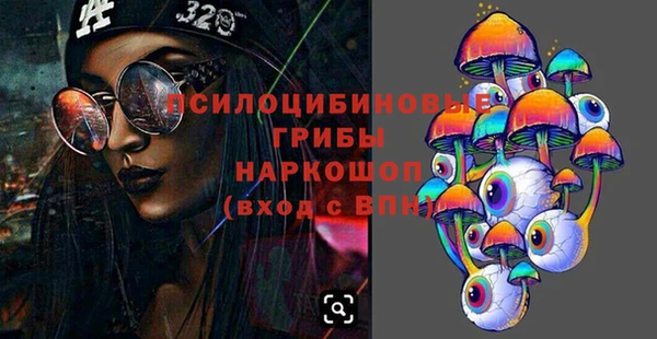 дживик Беломорск