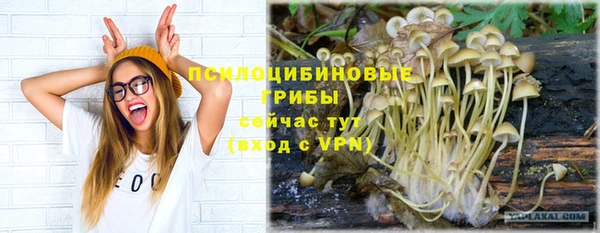 дживик Беломорск
