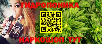 трава Северобайкальск