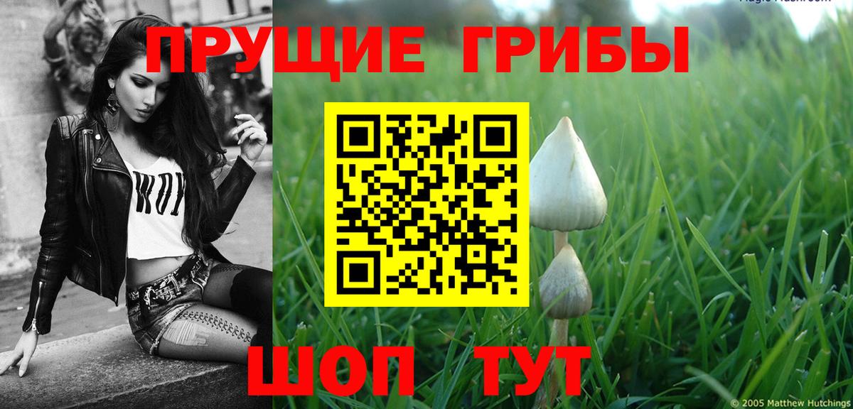 Саяногорск  как найти   Вход с VPN  Псилоцибиновые грибы Magic Shrooms  Псилоцибиновые грибы мухоморы 